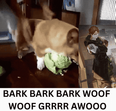 Dog And Man With Bark Bark Bark Woof Woof Grrr Awooo GIF