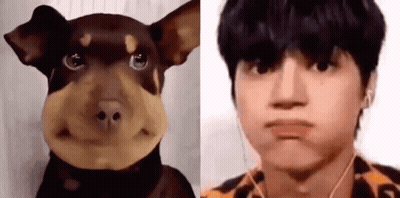 Dog And Man With Ear Buds GIF