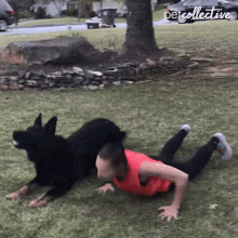 Dog And Owner Working Out Burpee Exercise