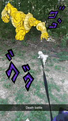 Dog And Za Warudo Death Battle GIF