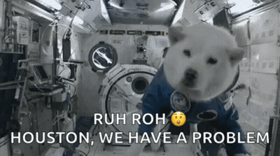Dog Astronaut Sitting In Space Station GIF