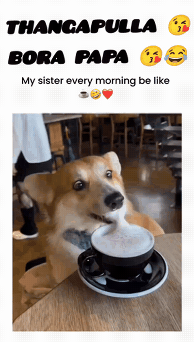 Dog At Table With Coffee Saying Thancapulla Bora Papa My Sister Every Morning Be L GIF