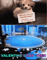 Dog Backflip Will You Be My Valentine GIF