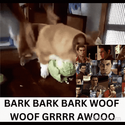 Dog Bark Bark Bark Woof Woof Grrr Awooo GIF