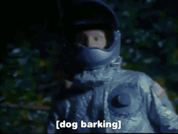 Dog Barking Sound Run GIF