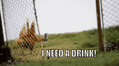 Dog Behind Chain Link Fence Says I Need A Drink GIF