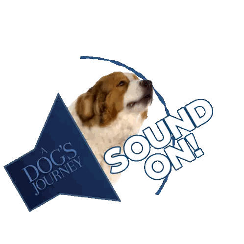 Dog Behind Sign That Says A Dog's Journey Sticker
