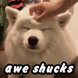 Dog Being Petted With Awe Shucks GIF
