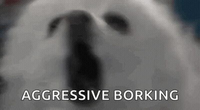 Dog Borking Aggressively GIF