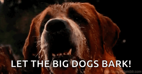 Dog Close Up Saying Let The Big Dogs Bark GIF