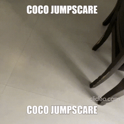 Dog Coco Jumpscare GIF