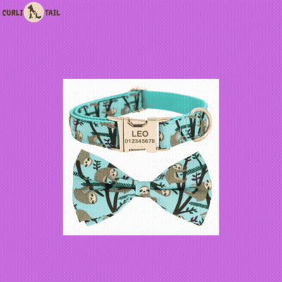Dog Collar With USA Bow And Bow Tie GIF