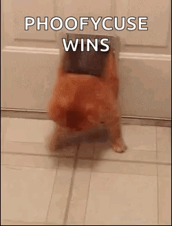 Dog Coming Out Of Door With Phoofycuse Wins GIF