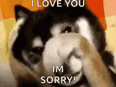 Dog Covering Face Saying I Love You Sorry