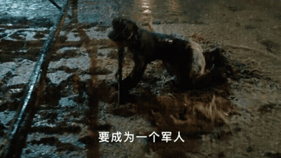 Dog Crawling In Mud With Chinese Writing GIF