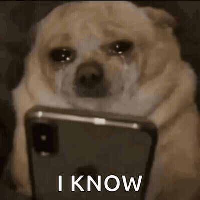 Dog Crying At Phone Saying I Know GIF
