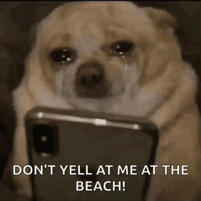 Dog Crying At Phone Says Don't Yell At Me At Beach GIF