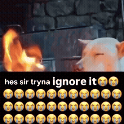 Dog Crying In Front Of Fire Saying Hes Sir Tryna Ignore It GIF