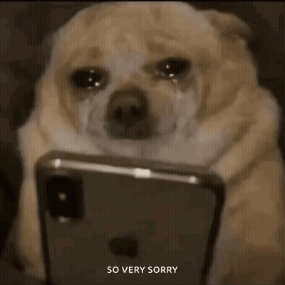 Dog Crying Looking At Cell Phone GIF