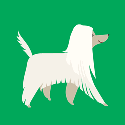 Dog Dance Wiggle Bum GIF