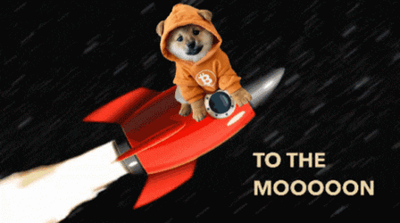 Dog Doge GIF