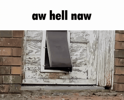 Dog Door Saying Aw Hell Naw GIF
