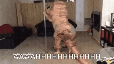Dog Dressed As Dinosaur Dancing On Pole GIF
