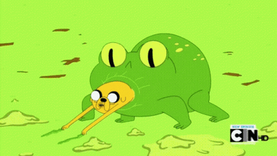 Dog Dressed As Frog With N And HD GIF