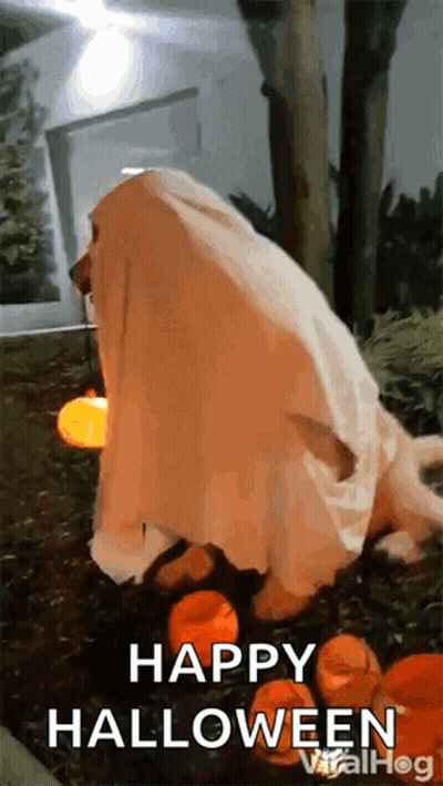 Dog Dressed As Ghost Says Happy Halloween GIF