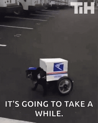 Dog Dressed As Postal Worker Riding Cart With Box GIF