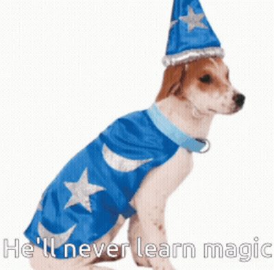 Dog Dressed As Wizard Saying He'll Never Learn Magic GIF