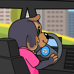 Dog Driving A Car Funny Animal  GIF
