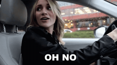 Dog Driving Red Car Alex Riding With Style GIF