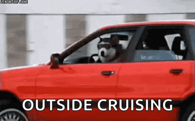 Dog Driving Red Car Cruising GIF
