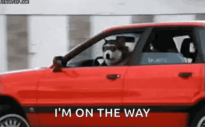 Dog Driving Red Car Saying I'm On The Way GIF