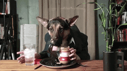 Dog Eating Butter And Drink GIF