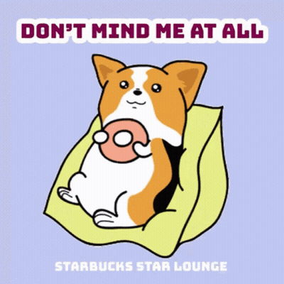 Dog Eating Donut Don't Mind Me At All Starbucks Star Lounge GIF