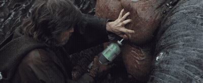 Dog Eating Hamburger And Drinking McDonald's Cup GIF