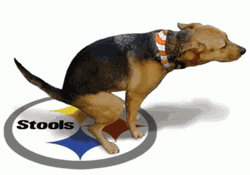 Dog Excreting Poop Inside A Circle GIF