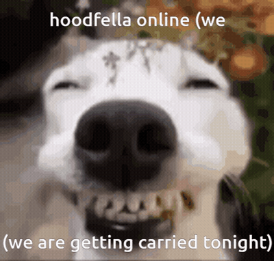 Dog Face Hoodfella Online We Are Getting Carried Tonight GIF