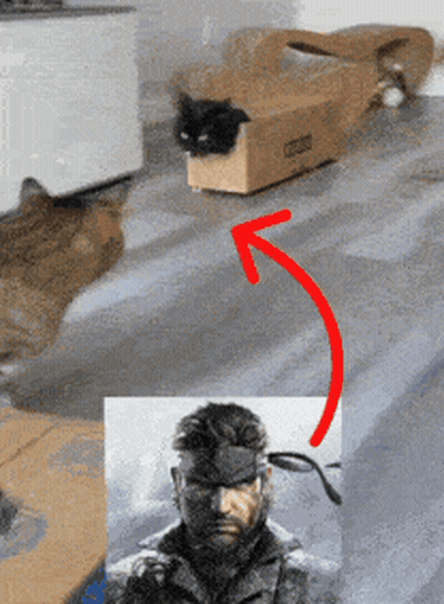 Dog Face In Car Mouth Open GIF
