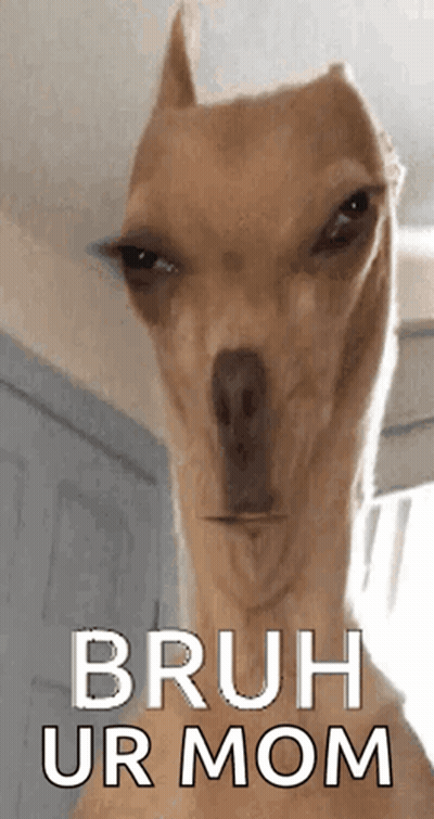 Dog Face Saying Bruh Ur Mom GIF