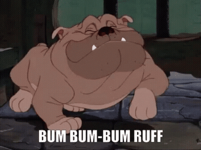 Dog Face With Christmas Stocking GIF