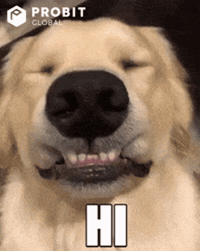 Dog Face With Probit Global Logo GIF