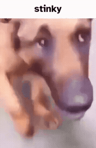 Dog Face With Stinky GIF