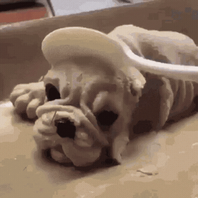 Dog Face With Word Collective GIF