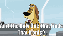 Dog Finds It So Irony GIF