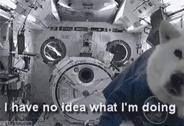 Dog Floating In Outer Space GIF