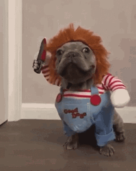 Dog Funny Murder Costume GIF