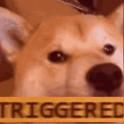 Dog Funny Triggered Meme GIF